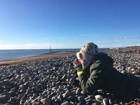 Image of Melanie Shears surveying grey seals at South Walney Nature Reserve