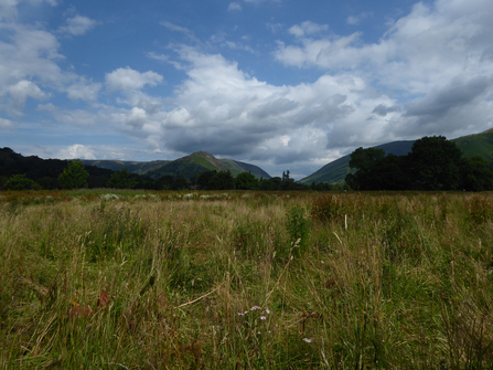 Image of view from Daffodil Hotel Grasmere