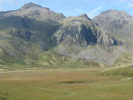 image of Upland valley mire in Cumbria
