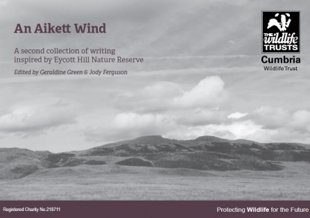 Cover of An Aikett Wind anthology