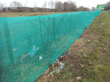 image of netting over hedges in Cumbria