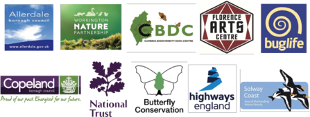 Get Cumbria Buzzing partner logos