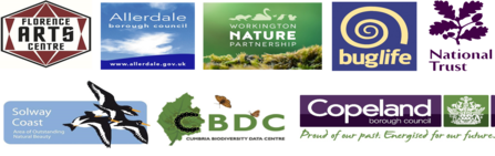 Logos - get cumbria buzzing partners