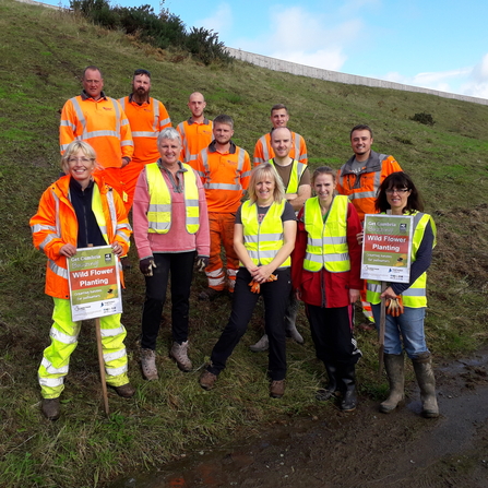 Volunteers help plant wild flowers at Distington