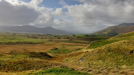 Eycott Hill Nature Reserve in Autumn 