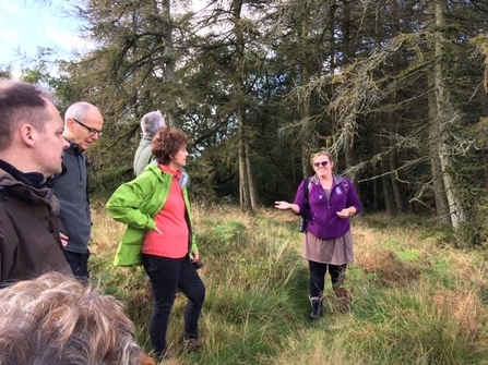 Squirrel Walk in Staveley Woodlands