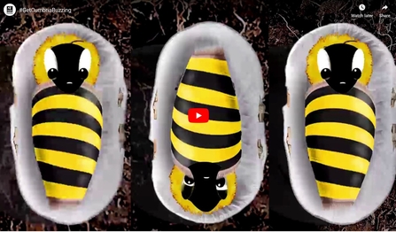 Image of still from Get Cumbria Buzzing animation