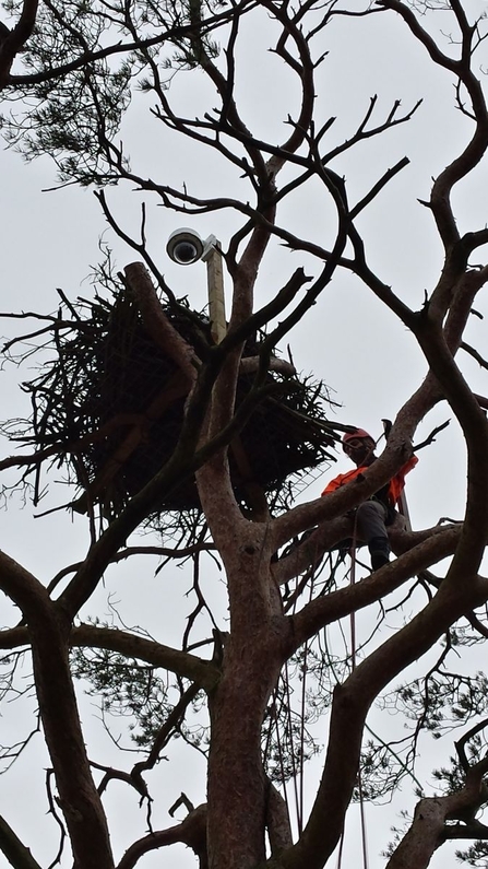 Camera installation at Foulshaw Moss 2015