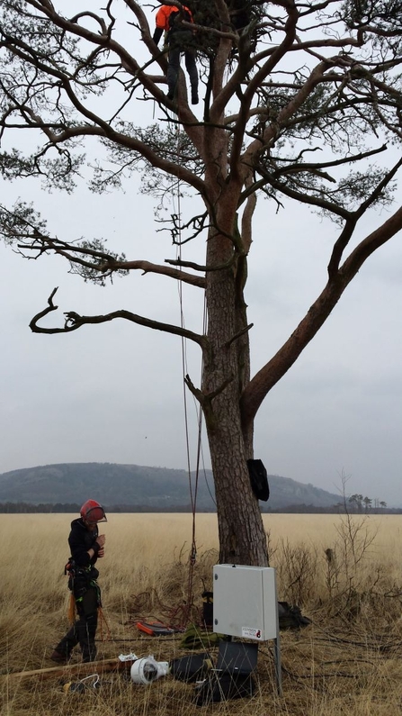 Installing web cameras at Foulshaw Moss 2015