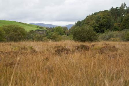 Burns Beck Moss 2013