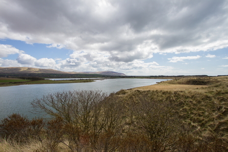 Eskmeal Dunes 2013