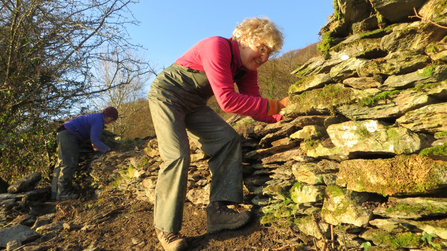 Staveley-Woodlands-Retaining-Wall