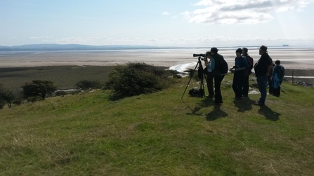 Birdwatching at Humprey Head 2015