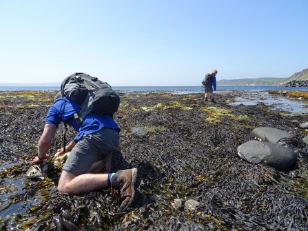 Rock pooling on Rathlin Island 2016