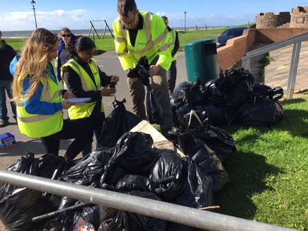 Counting litter 2016 Beach clean Seascale