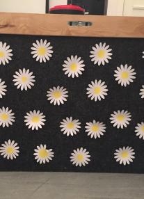 Paper daisies 2016