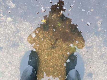 Reflection in puddle