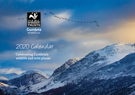 photo-competition-2019-2020 cover