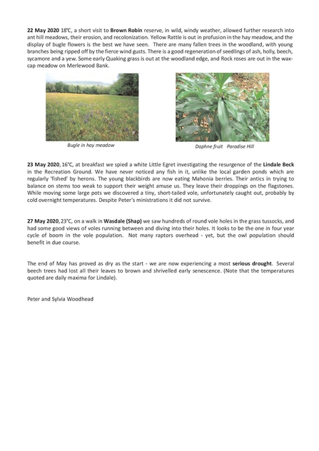 Nature Diary 6 late May 2020 Peter and Sylvia Woodhead page 2