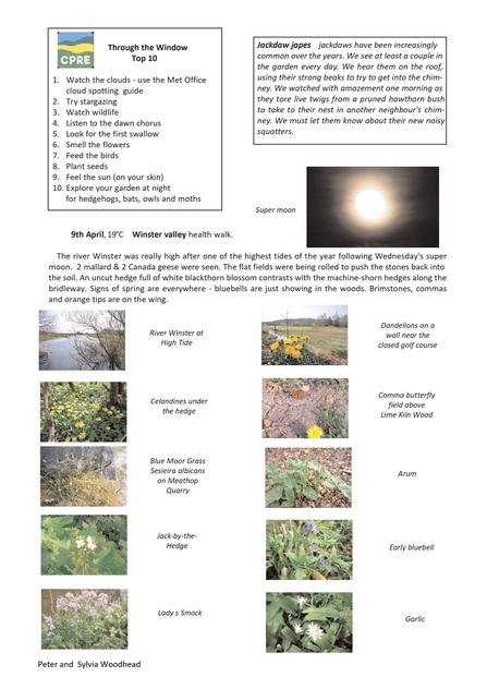 Nature Diary April 2020 by Peter and Sylvia Woodhead page 2
