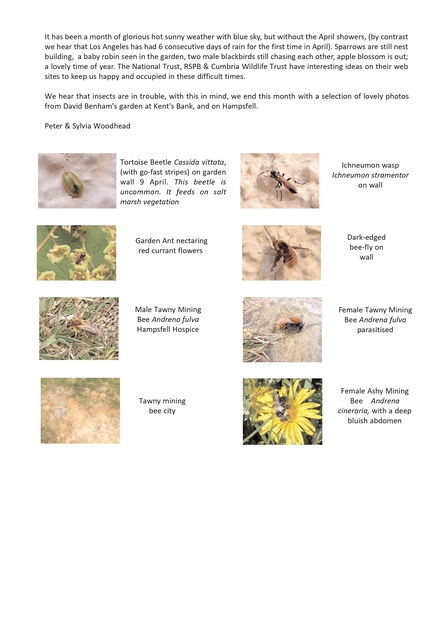 Nature Diary Late April (Easter) 2020 by Peter and Sylvia Woodhead page 2