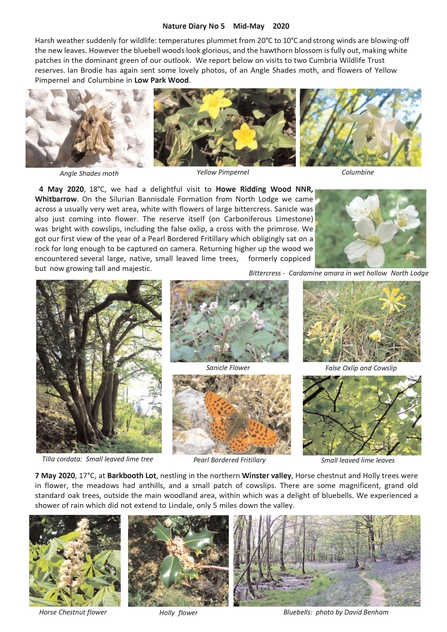 Nature Diary No 5 Mid May 2020 Peter and Sylvia Woodhead page 1