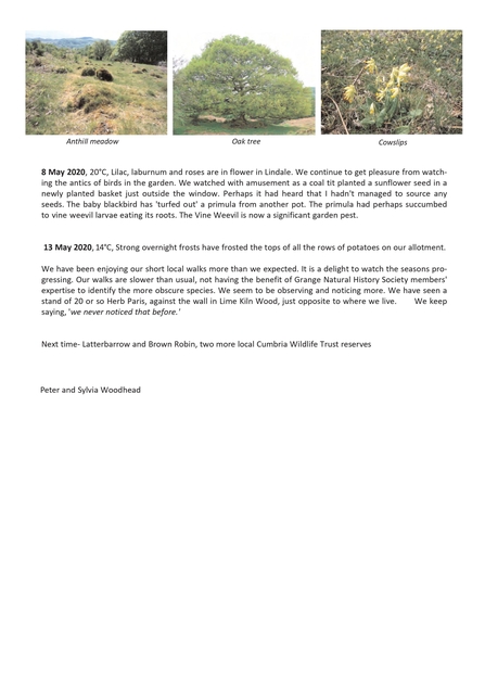 Nature Diary No 5 Mid May 2020 Peter and Sylvia Woodhead page 2