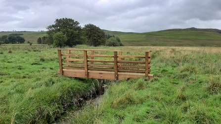  One Image of one of new bridges with Eycott Hill summit in the background © Nichola Jackson.jpg