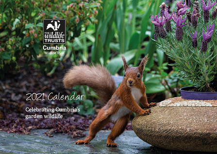 2021-Cumbria-Wildlife-Trust-Calendar