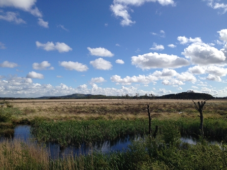 Image of Foulshaw Moss Nature Reserve