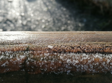 Frost crystals © Jody Ferguson