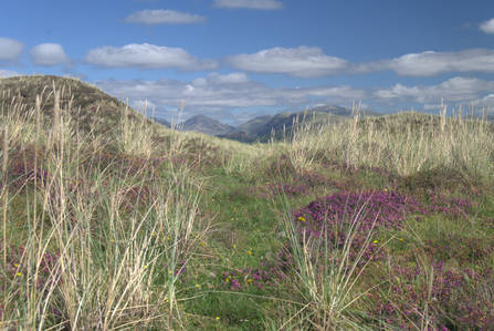 Dunes at Drigg