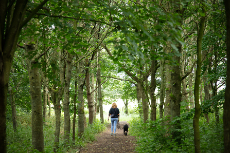 Image of walking in Tarraby Woods Gosling Sike © Andrew Heptinstall