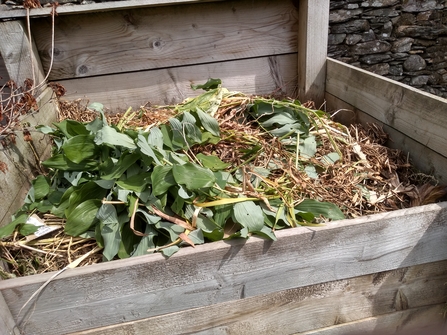 Open compost bin. Photo Kevin Line