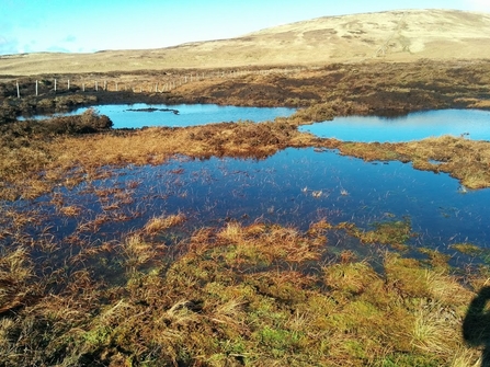 Image of Armboth Fell after peatland restoration credit Cumbria Wildlife Trust