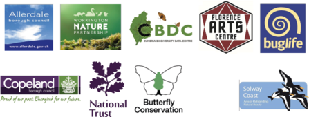 Get Cumbria Buzzing various funders logos