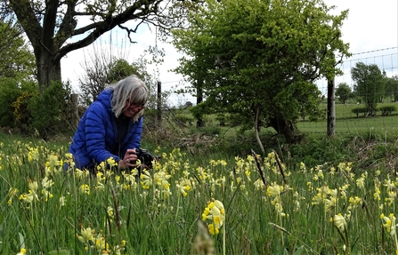 Image of artist Julia Garner photographing cowslips