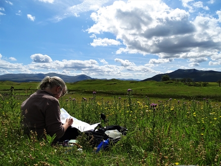 Image of artist Julia Gardner sketching at Eycott Hill Nature Reserve