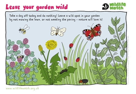 Leave your garden wild activity sheet