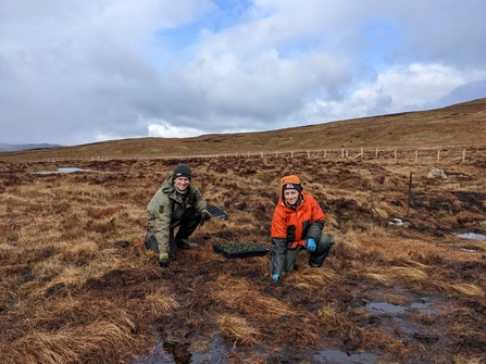 Image of plug planting on Armboth Fell credit Cumbria Wildlife Trust