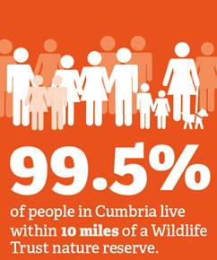 infographic illustrating majortiy of people in cumbria live within 10 miles of a reserve