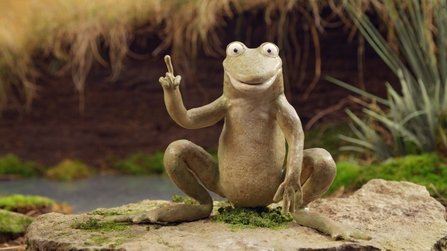 Image of Pete the Frog from NFL animations credit Environment Agency/Cumbria Wildlife Trust