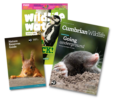 Collage of front covers of Membership magazine, wildlife watch and reserve guide