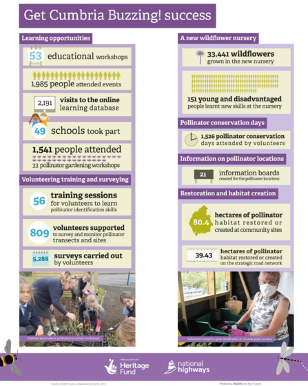 Get Cumbria Buzzing achievements 2019-2022 infographic