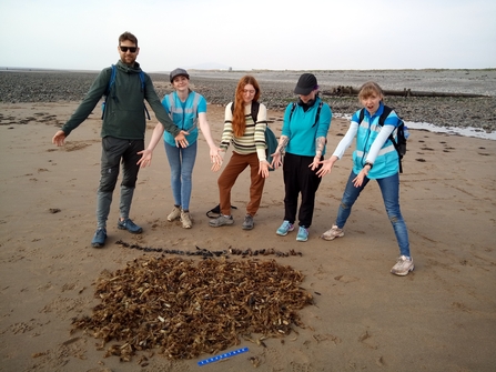 Image of egg case hunt at Walney credit Sophie Smith