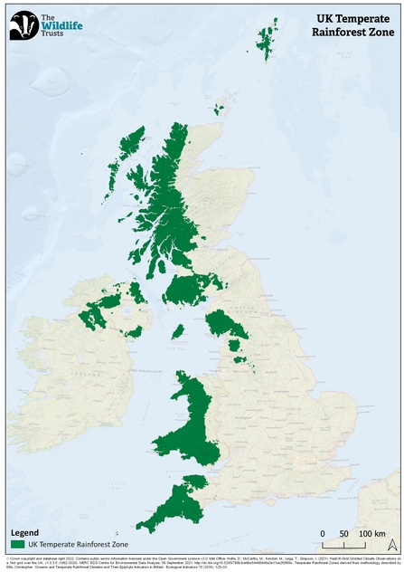 UK Temperate Rainforest Zone - single use permission only 02.02.23 - DO NOT REUSE