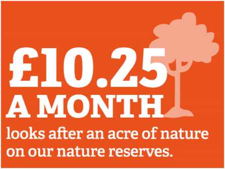 Join for £10.25 a month - looks after an acre of nature on our nature reserves