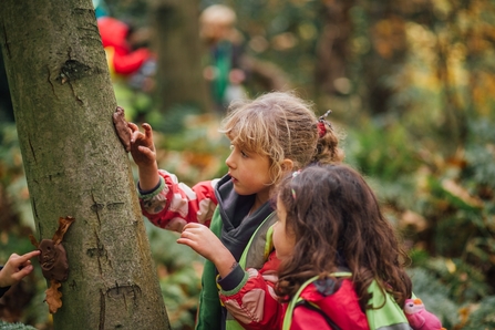 Image of children looking at tree credit Helena Dolby for Sheffield and Rotherham Wildlife Trust