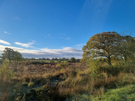 Blue sky at Gosling Sike nature reserve and farm land