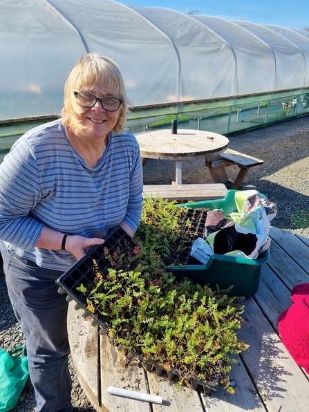 volunteer at Gosling sike plant nursery